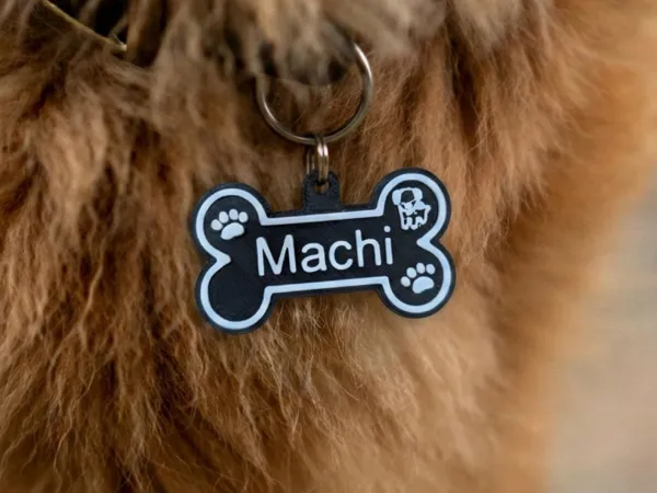 https://makerworld.bblmw.com/makerworld/model/US77ff0d1daab338/design/2025-12-31_873ef8674dab88.png