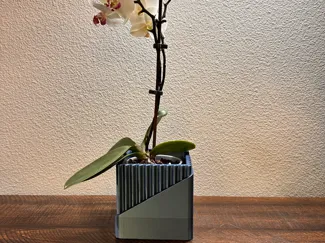 Simple Cuboid Vase