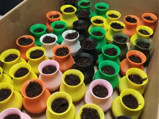 Small pot planter