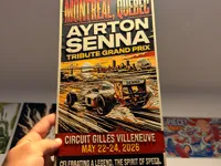 0.08mm layer, 2 walls, 100% infill