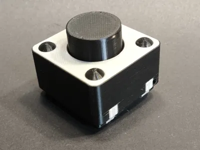 Electronic Microswitch Fidget Clicker Keychain
