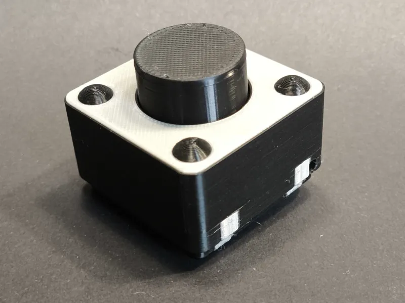 Electronic Microswitch Fidget Clicker Keychain