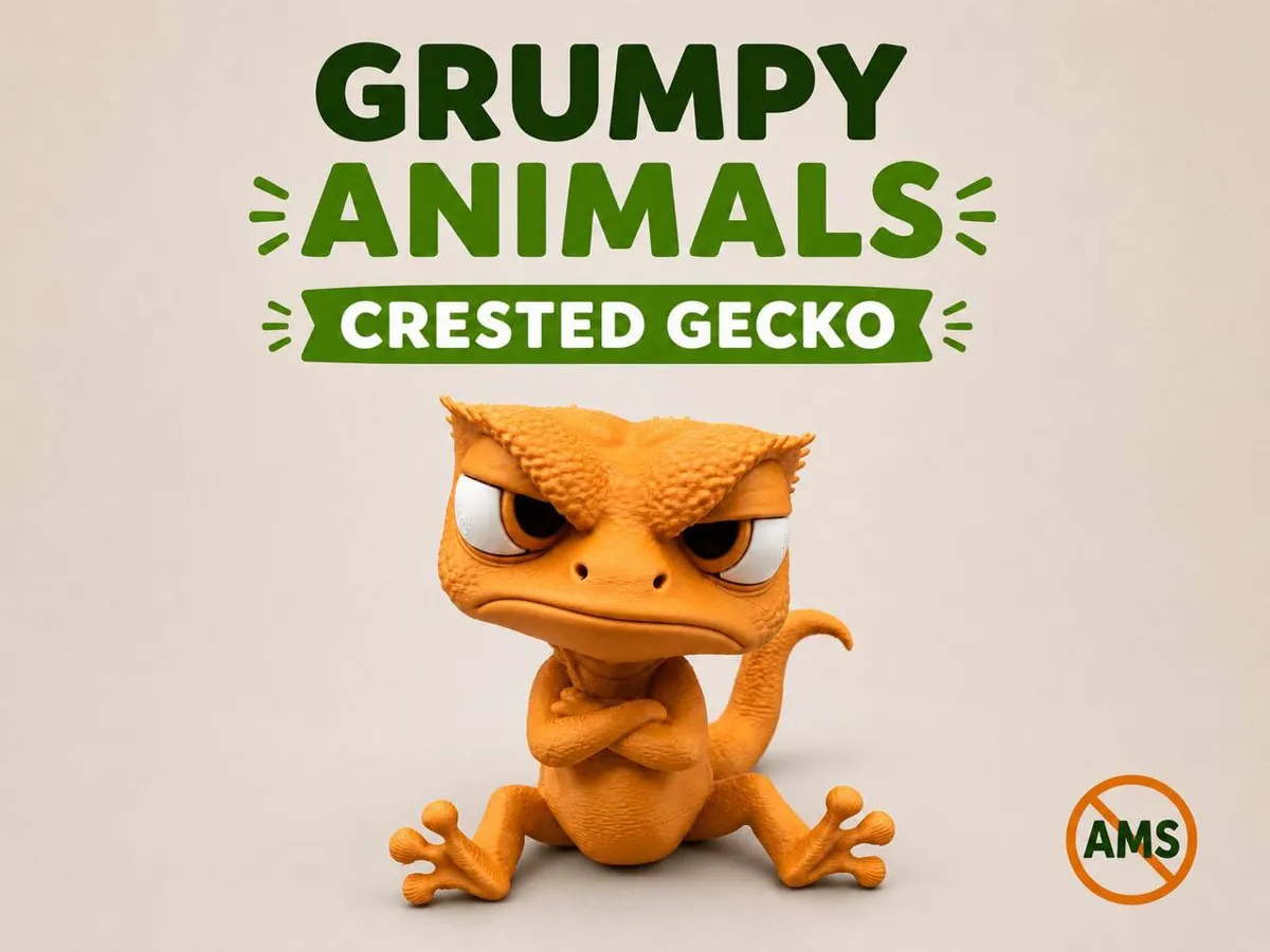 Huysuz Gecko