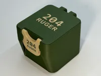 204 Ruger - MINI - Full Box + Insert - Combo