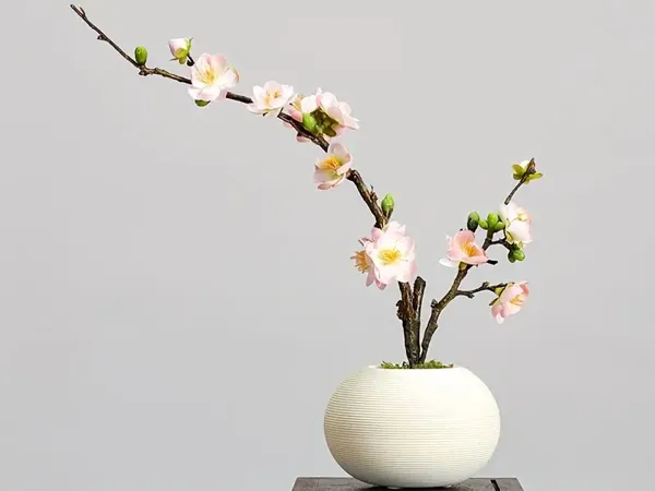 https://makerworld.bblmw.com/makerworld/model/US7814252f1e80/design/5cc481d34f822975.webp