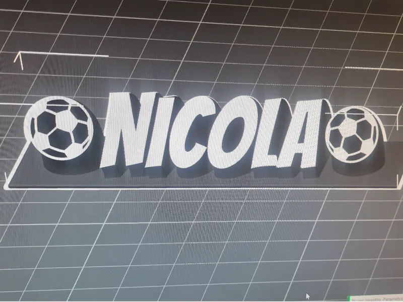 Sdcritta Nicola Calcio(juventus)
