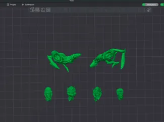 Heads
