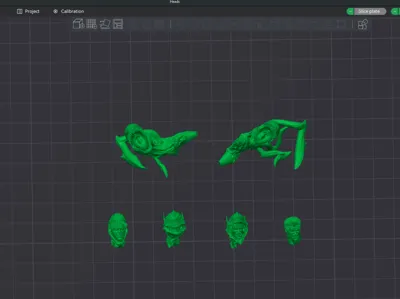 Heads