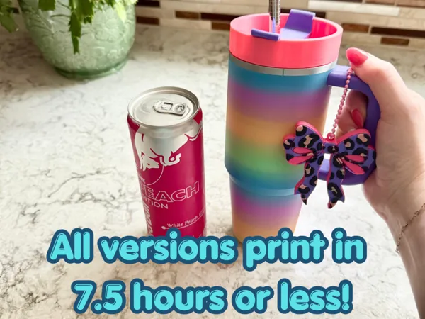 https://makerworld.bblmw.com/makerworld/model/US78194127dde6c7/design/b4094e2bb2e1ba9b.png