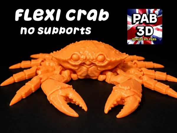 https://makerworld.bblmw.com/makerworld/model/US7819eea151d1be/design/eea5beaf19360136.png