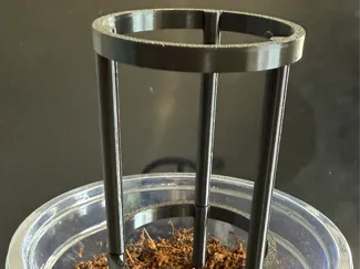 Small plant support