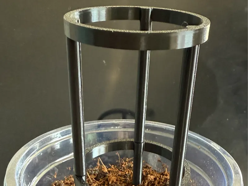Small plant support