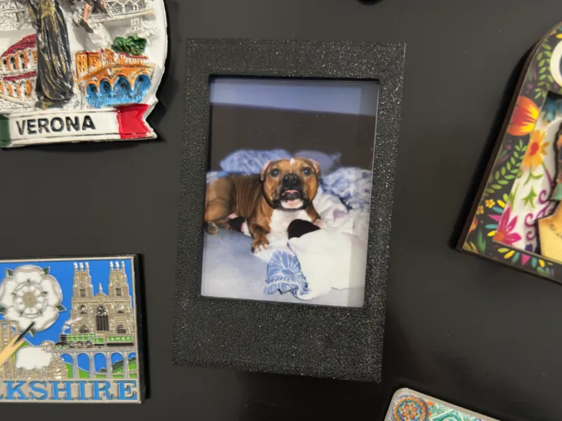 Magnetic FUJIFILM photo frame 86x54
