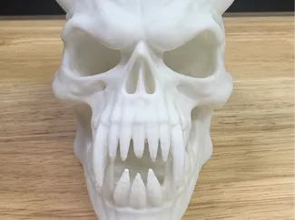 Demon vampire Skull