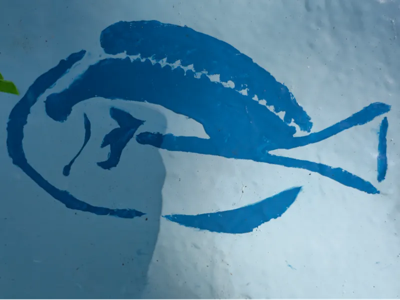 Sea life stencils - Blue Tang and Clownfish