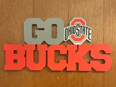 OSU Buckeyes "Go Bucks" sign