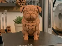 0.12mm layer, 2 walls, 10% infill