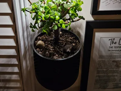 5" Wall Mounted Self Watering Pot