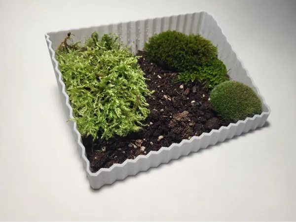 https://makerworld.bblmw.com/makerworld/model/US782c0091e0a346/design/2024-10-06_e0fff574aee28.jpg