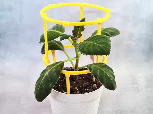 https://makerworld.bblmw.com/makerworld/model/US782f084c01e9c4/design/2025-02-18_18ef0e43a2a1a.jpg