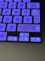 Arrow Keys