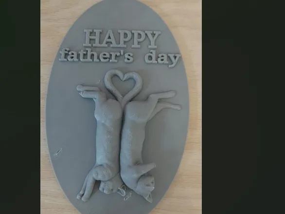 father´s day present
