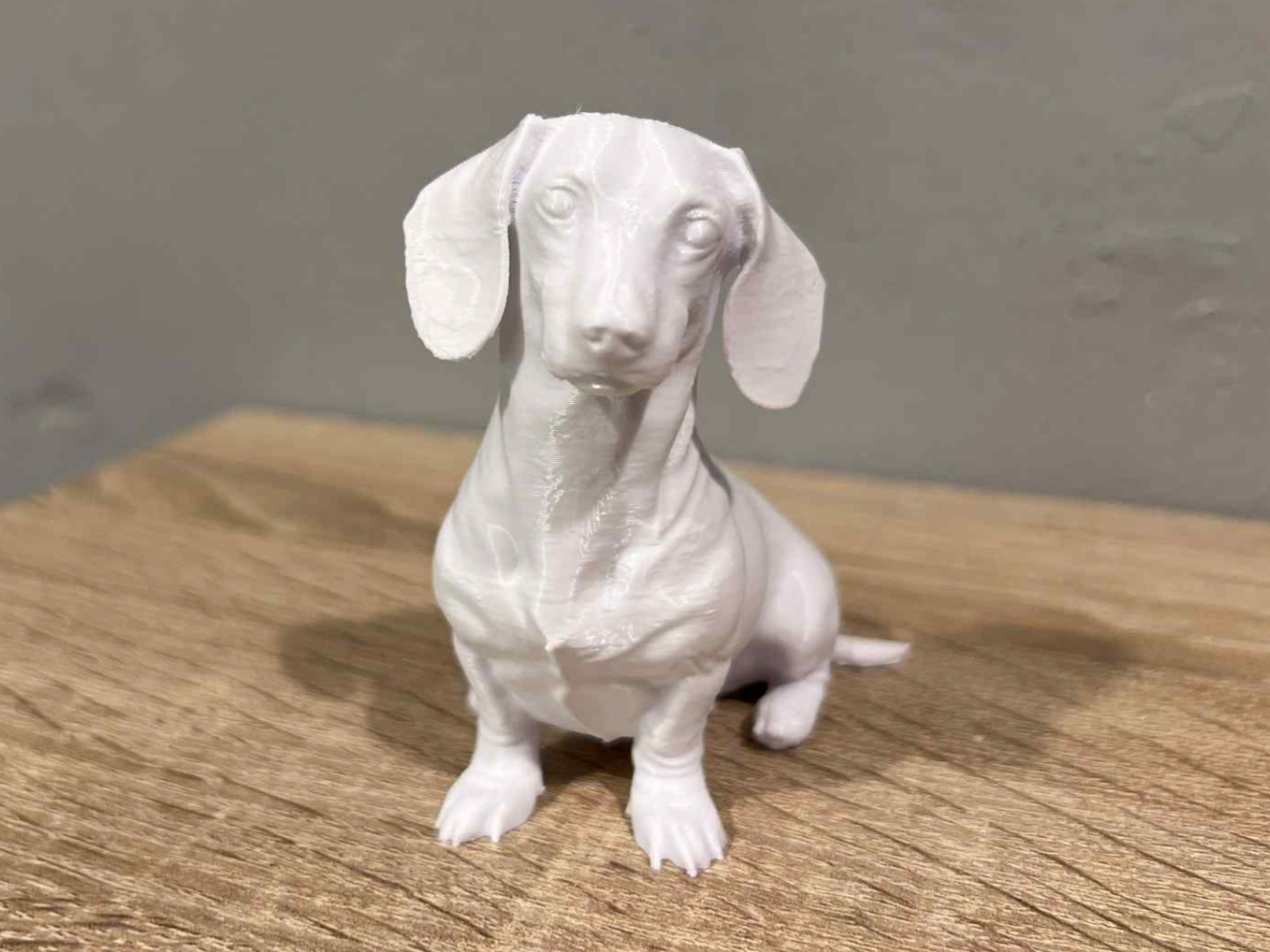 Sitting Dachshund - Sausage Dog - Animal 