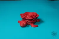Turtle Rose - Single Rose