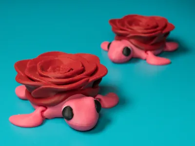 Rosie the Rose Shell Turtle