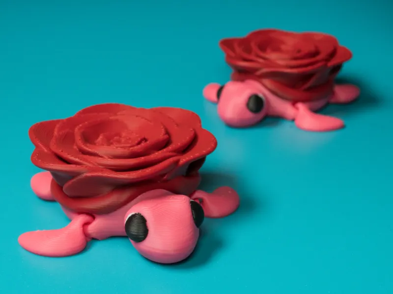Rosie the Rose Shell Turtle