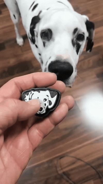 Dalmation keychain clicker.