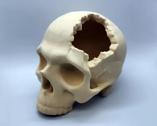 https://makerworld.bblmw.com/makerworld/model/US78443566419804/design/2025-01-26_hdpssvbaqew7.jpg