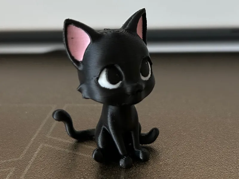 cute little black kitten