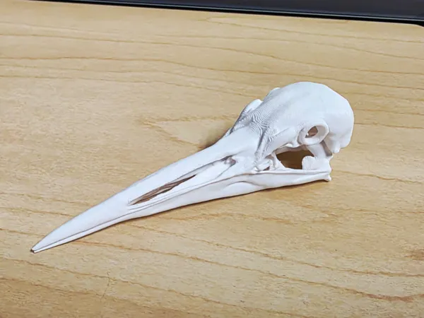 https://makerworld.bblmw.com/makerworld/model/US7854082ea59b8c/design/2025-11-18_743823280a786.jpg