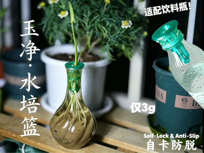玉净——带自卡防脱结构的饮料瓶水培篮