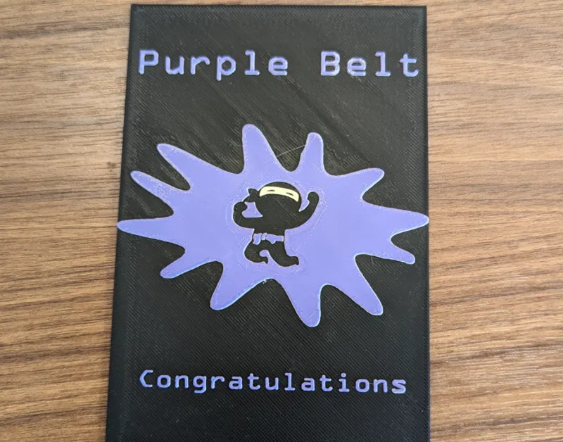 Code Ninjas/Martial Arts Purple Belt Plaque