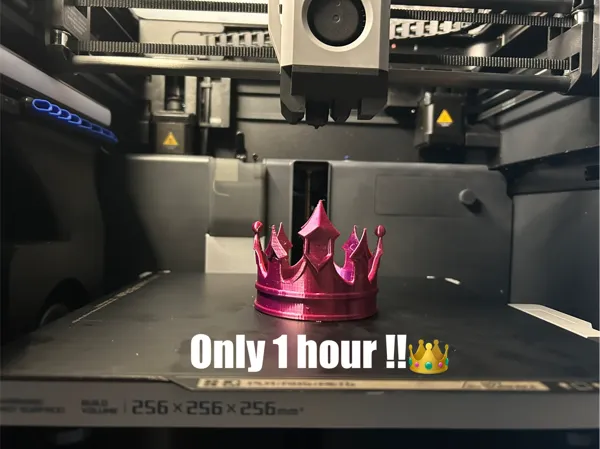 https://makerworld.bblmw.com/makerworld/model/US785da4991cf7be/design/2025-05-03_9599b078c05dc.jpg