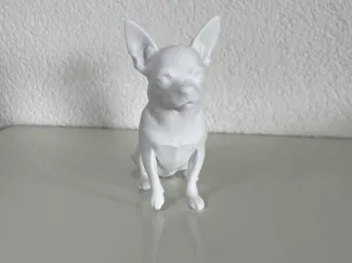 Chihuahua sitzend