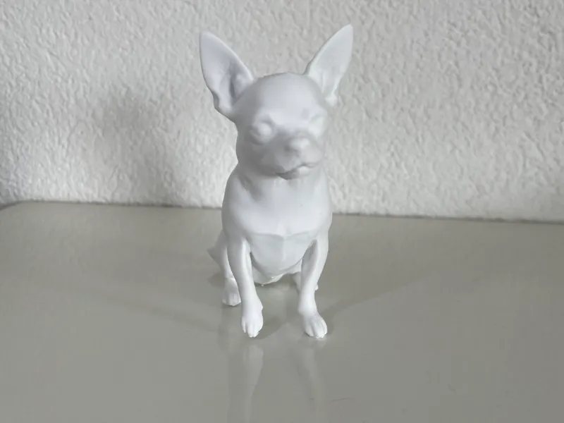 Chihuahua sitzend
