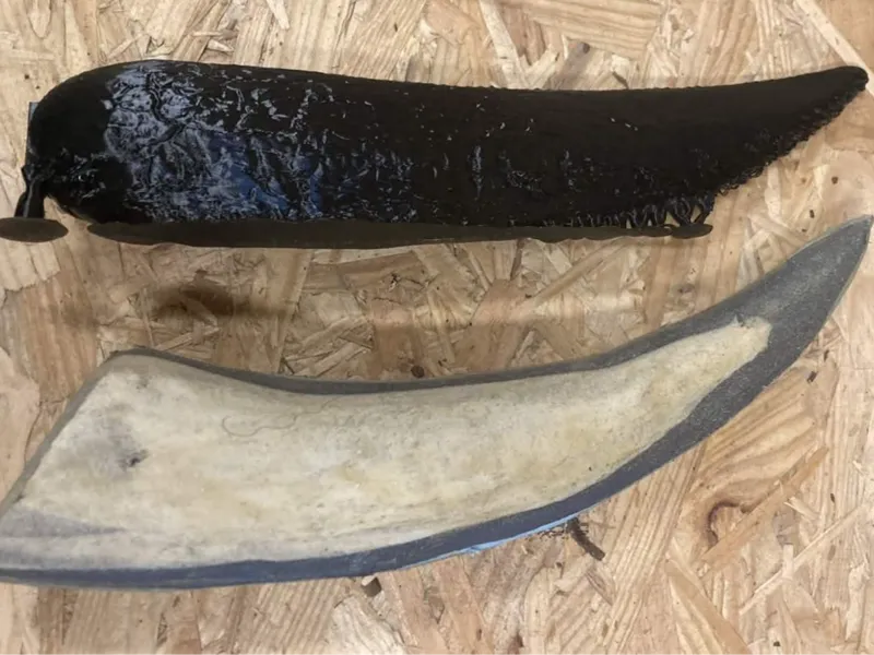 T-Rex Tooth for LARP 
