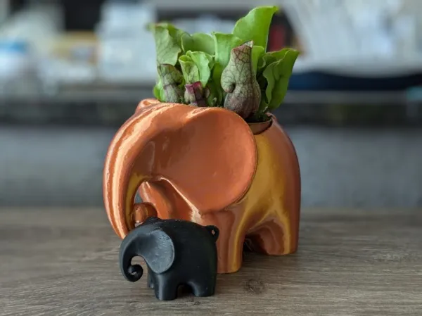 https://makerworld.bblmw.com/makerworld/model/US7868bbbfea463a/design/2024-07-24_ad9697146149b.jpg