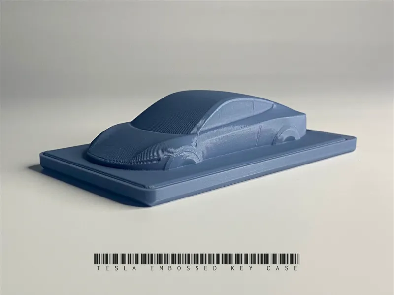 TESLA Embossed Key Case 特斯拉浮雕钥匙壳