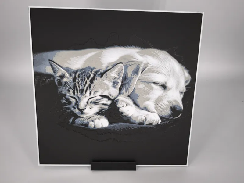 Hueforge Chien et Chat dormant