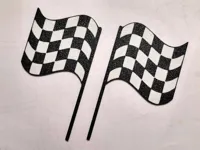 1 Flag - Longer Flagpole