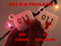 011 Keychain x2
