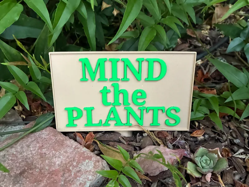 Mind the Plants