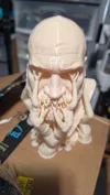 0.16mm layer, 2 walls, 8% infill