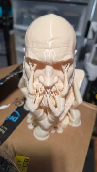 0.16mm layer, 2 walls, 8% infill