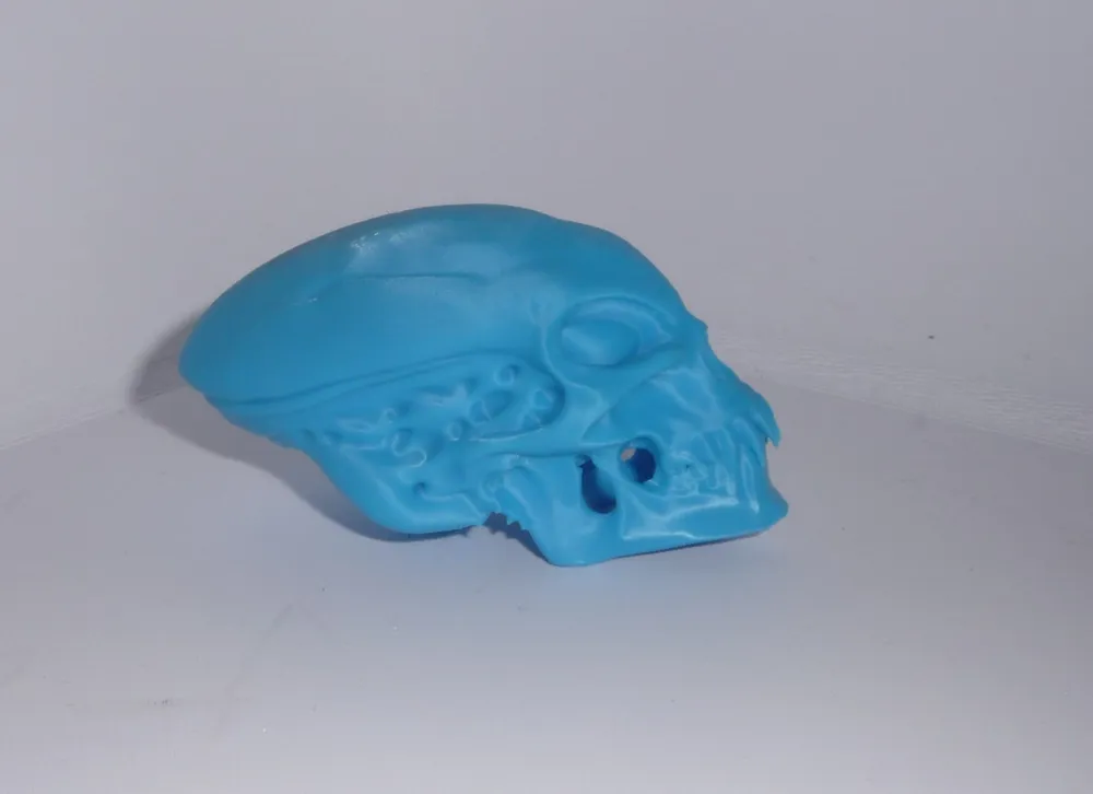 Alien Skull - Free 3D Print Model - MakerWorld
