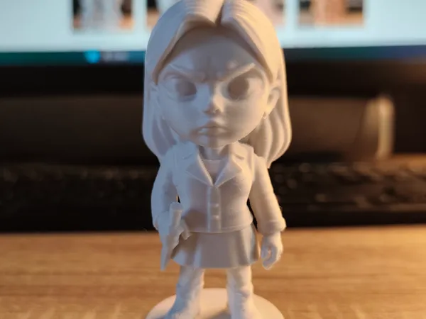 https://makerworld.bblmw.com/makerworld/model/US78768afb1e0f8a/design/2025-09-05_4cca884a4b1b18.jpg